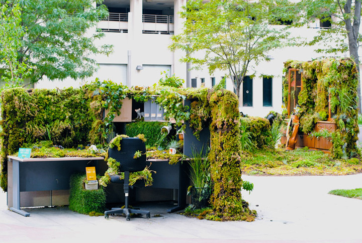 Green office environments linked with higher cognitive function scores