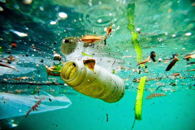 First of Its Kind Map Reveals Extent of Ocean Plastic. “Sadly, the accumulation of plastic in the deep ocean would be modifying this enigmatic ecosystem before we can really know it.”