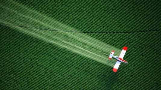 Disturbing New Evidence About What Common Pesticides Can Do to Brains